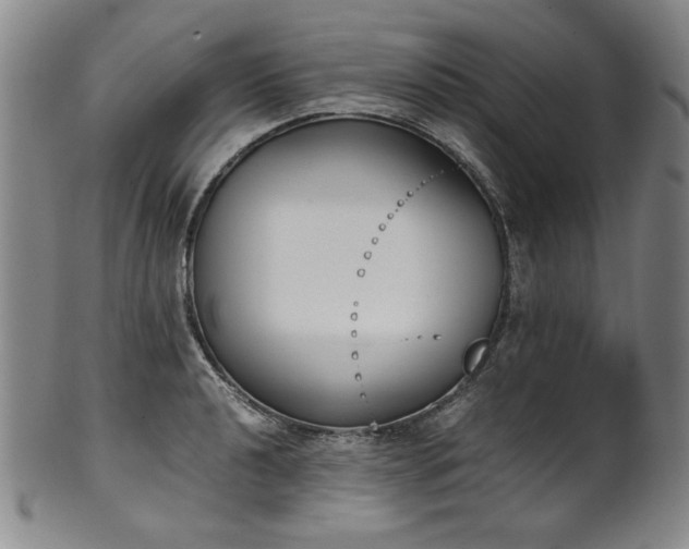 X0000102471040200808081246
