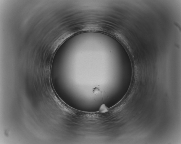 X0000102471041200808081246