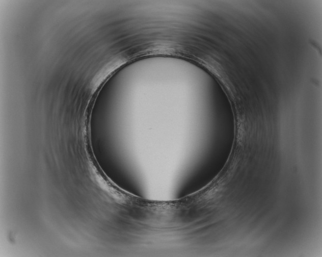 X0000102471042200808081246