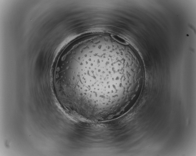 X0000102471045200808081246