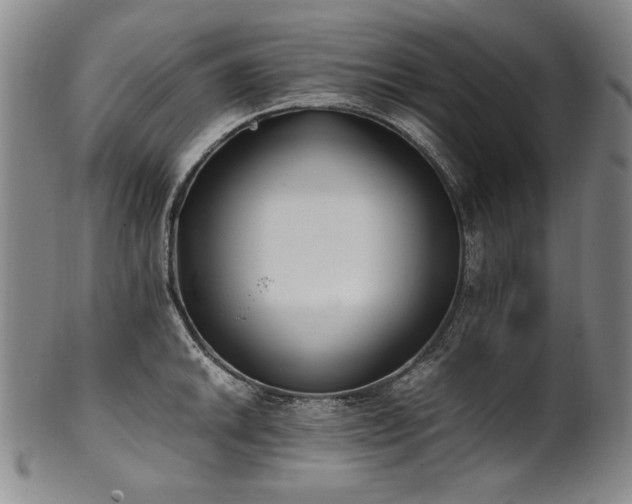 X0000102471046200808081246
