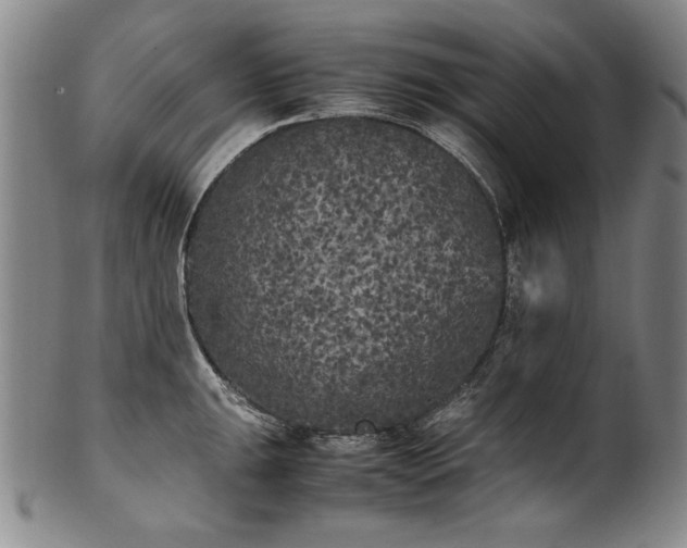 X0000102471047200808081246