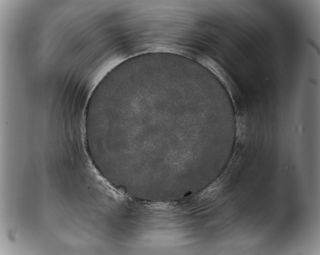 X0000102471048200808081246