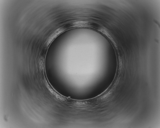 X0000102471049200808081246