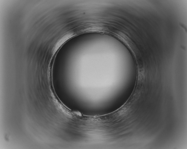 X0000102471050200808081246