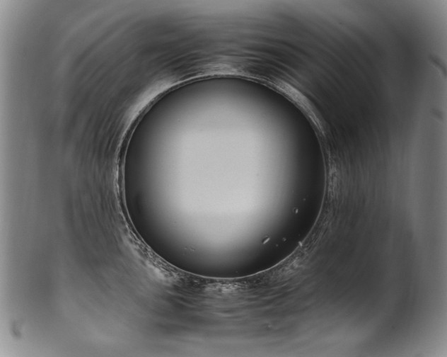 X0000102471051200808081246