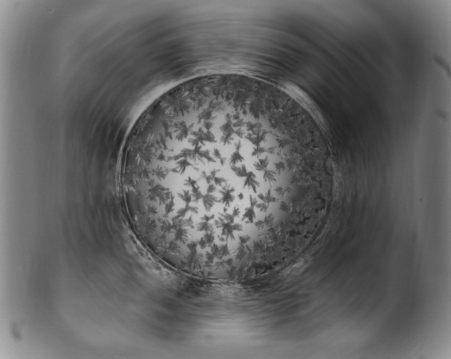 X0000102471052200808081246