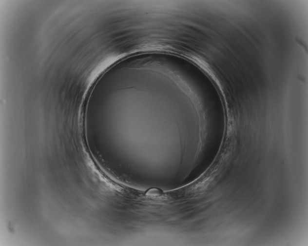 X0000102471053200808081246