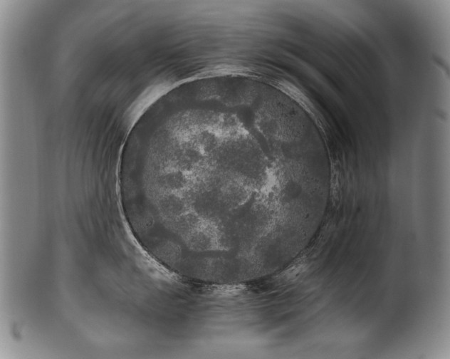 X0000102471055200808081246