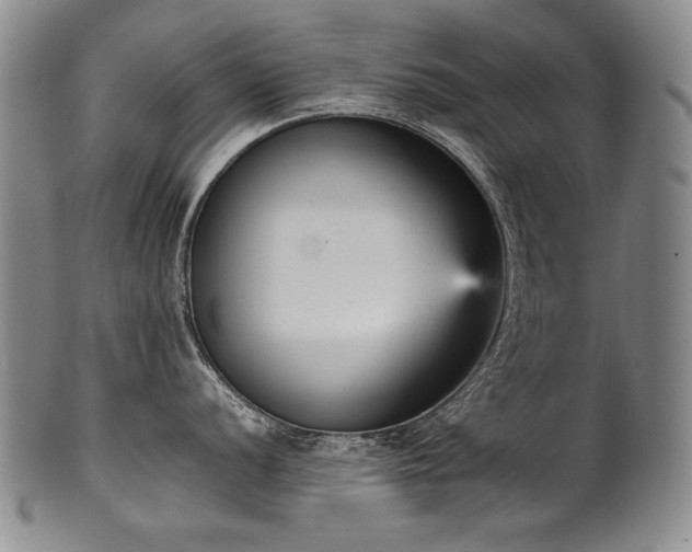 X0000102471056200808081246
