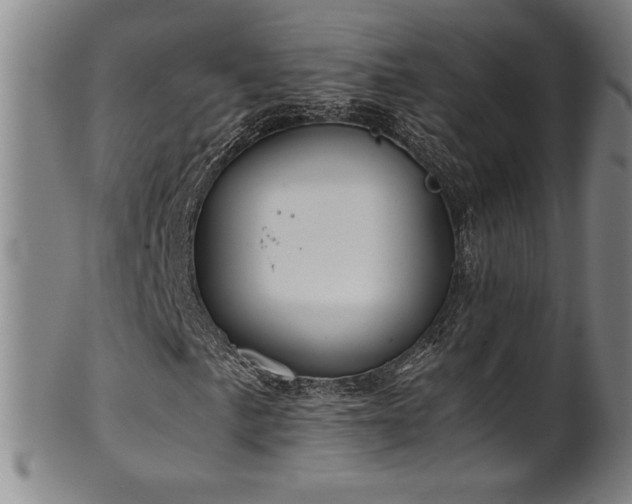 X0000102471057200808081245
