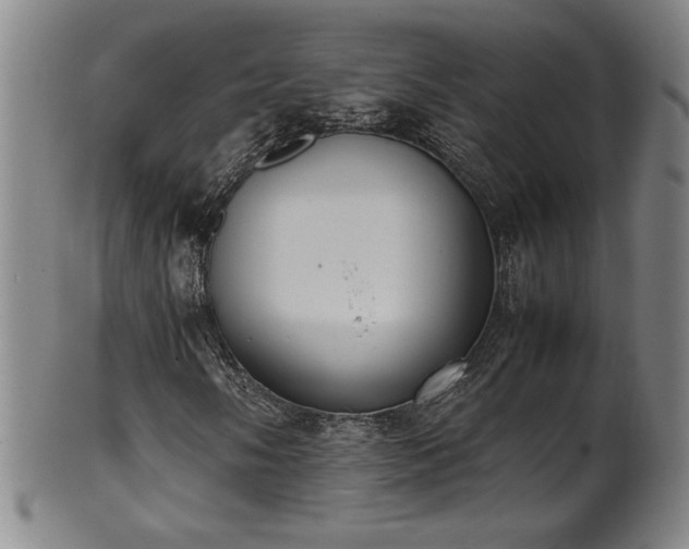 X0000102471058200808081245
