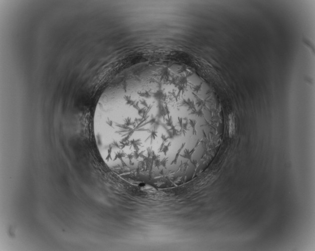 X0000102471059200808081245