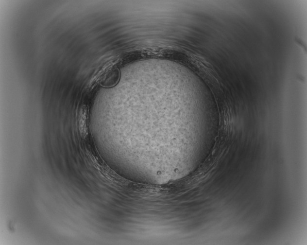 X0000102471060200808081245