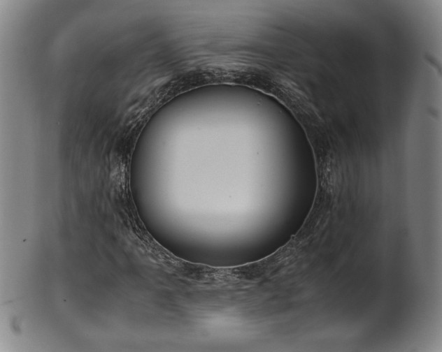 X0000102471061200808081245