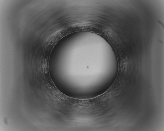 X0000102471062200808081245