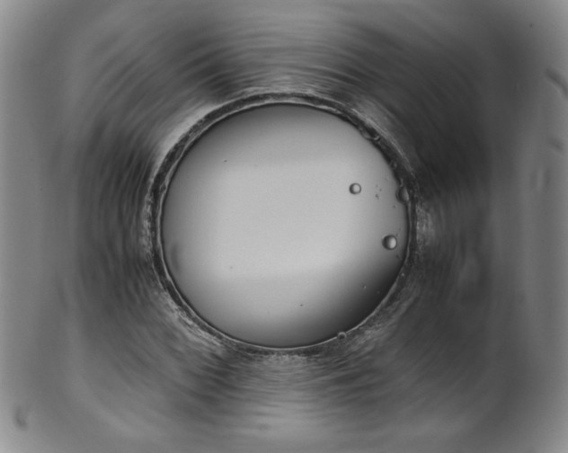 X0000102471068200808081245
