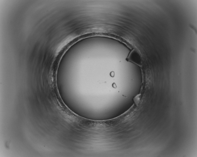 X0000102471070200808081245