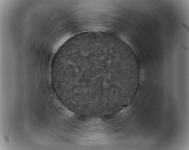 X0000102471071200808081245