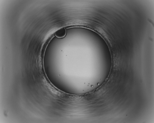 X0000102471072200808081245