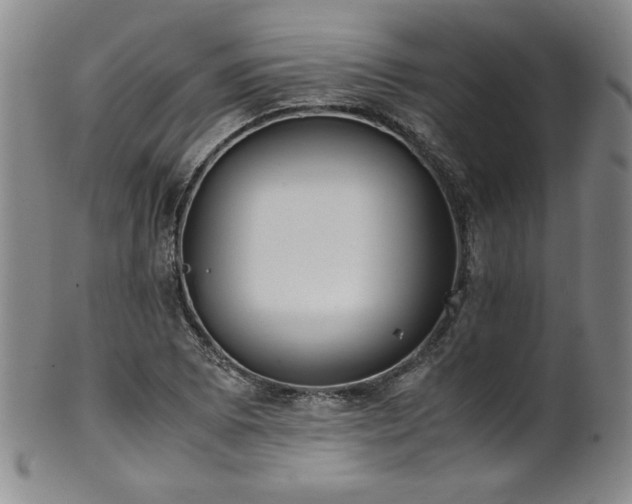 X0000102471073200808081245