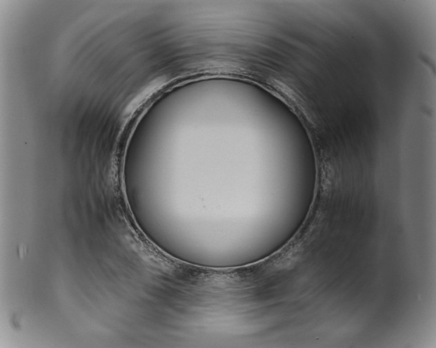 X0000102471074200808081245