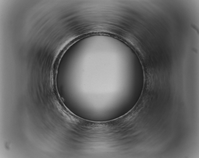 X0000102471076200808081245