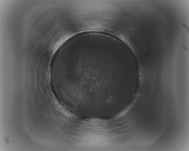 X0000102471077200808081245