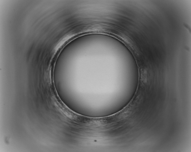 X0000102471078200808081245