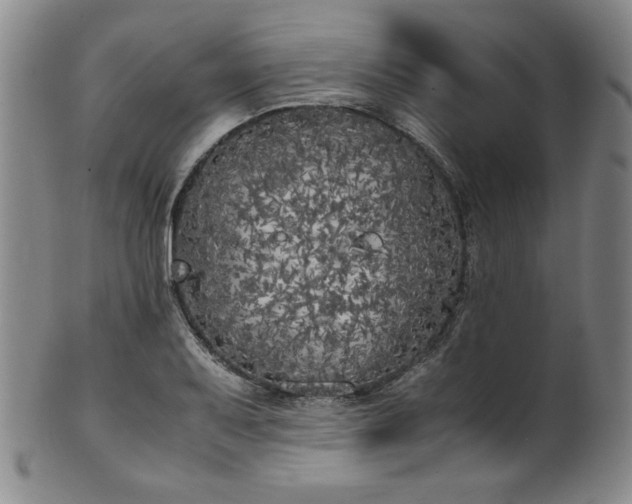 X0000102471079200808081245