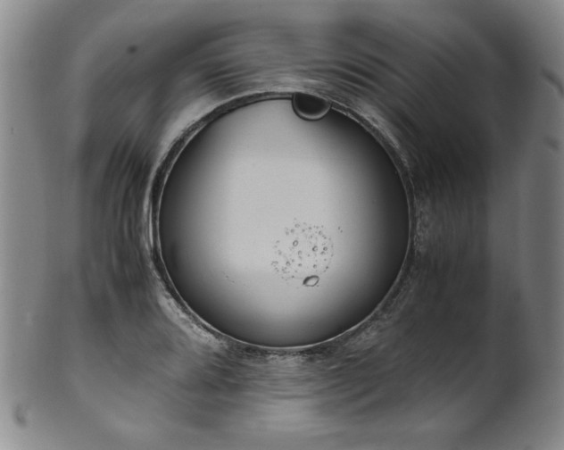 X0000102471080200808081245