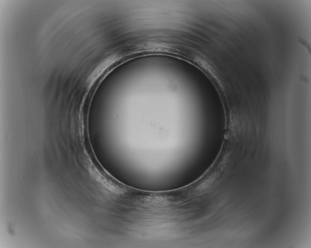 X0000102471082200808081245