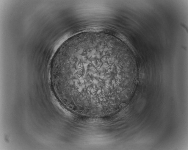 X0000102471083200808081245