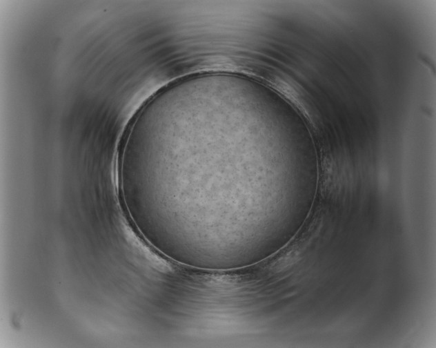 X0000102471084200808081245