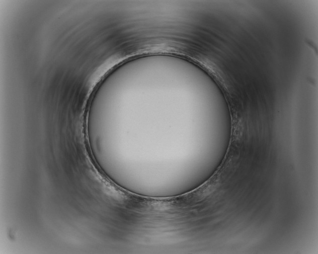 X0000102471086200808081245