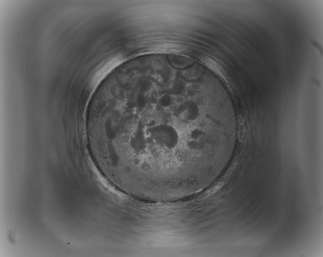 X0000102471087200808081245