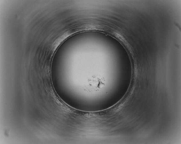 X0000102471089200808081244