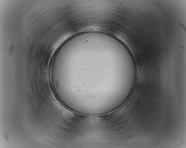 X0000102471090200808081244