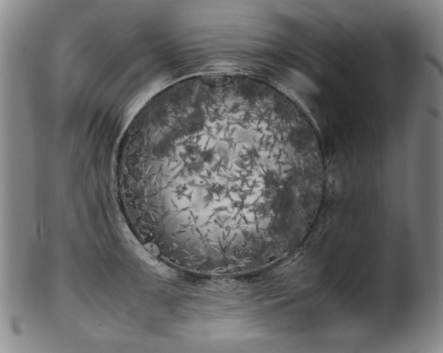 X0000102471091200808081244