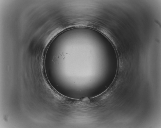X0000102471093200808081244