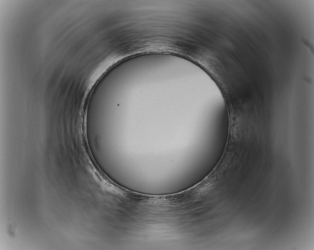 X0000102471094200808081244