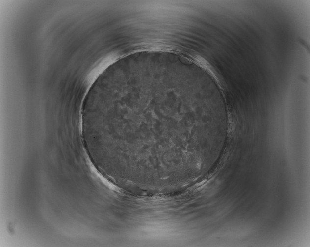 X0000102471095200808081244
