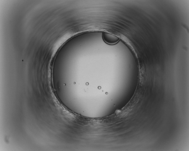 X0000102471096200808081244