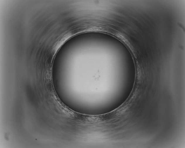 X0000102471097200808081244
