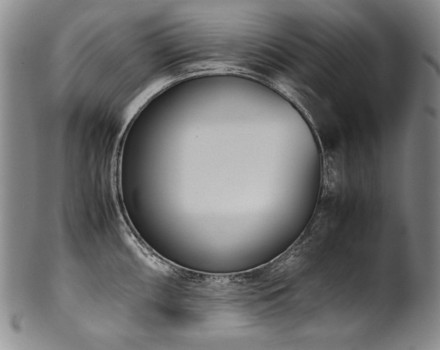 X0000102471098200808081244