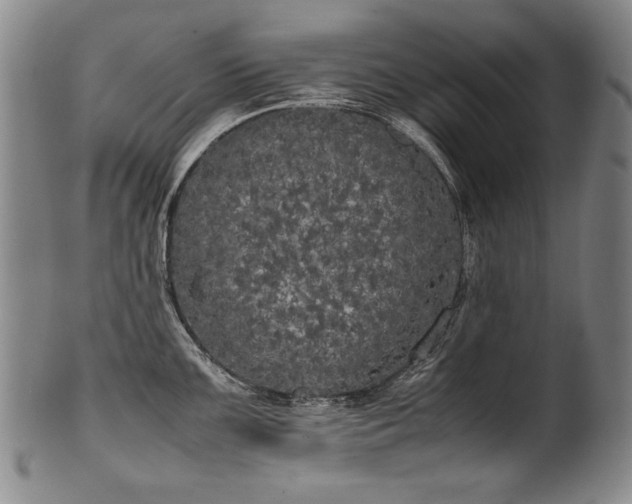 X0000102471099200808081244