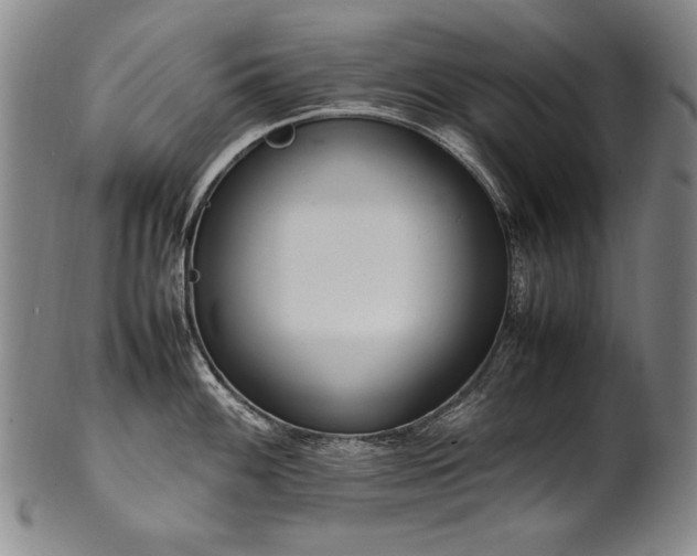 X0000102471100200808081244