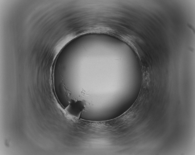 X0000102471103200808081244