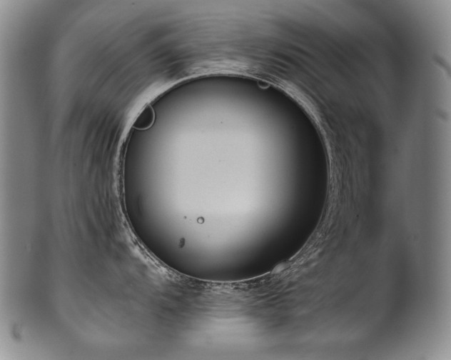 X0000102471104200808081244