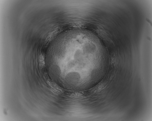 X0000102471106200808081243